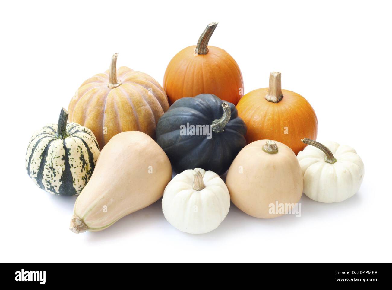 Cibo, varietà di zucca isolata su bianco Foto Stock
