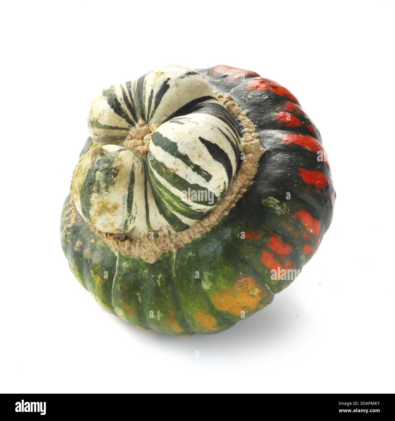 Turbante Squash isolato su bianco Foto Stock
