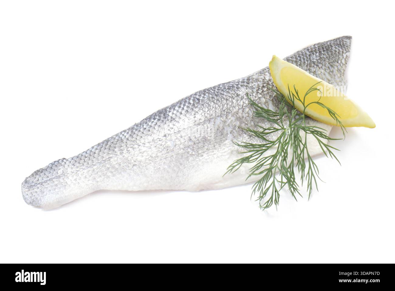 Cibo, spigola europea isolata su bianco Foto Stock