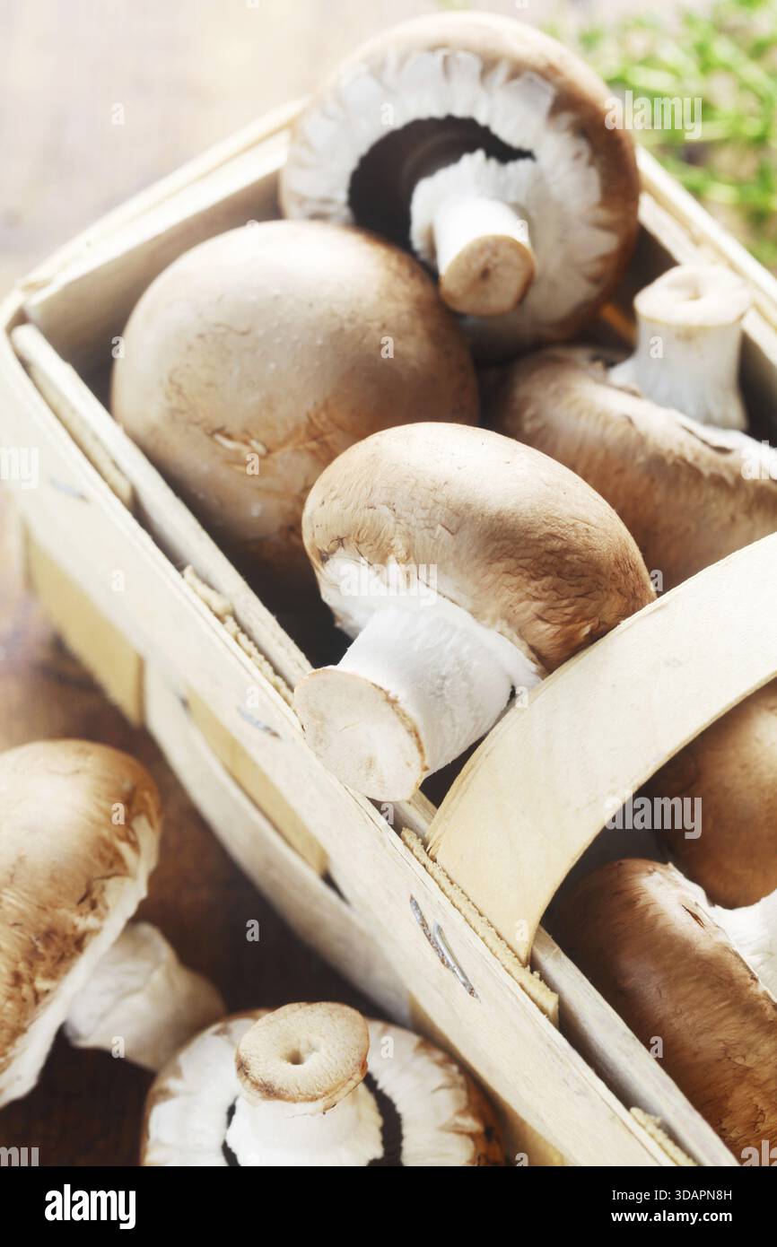 Cibo, funghi crudi in Un cestino Foto Stock