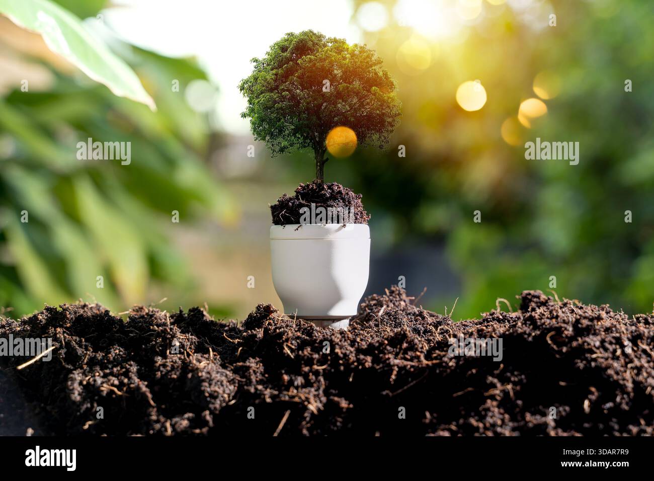 Un albero che cresce da una lampadina collocata nel suolo, simboleggia l'innovazione ecologica, la sostenibilità, le energie rinnovabili, la tutela dell'ambiente, e più verde Foto Stock