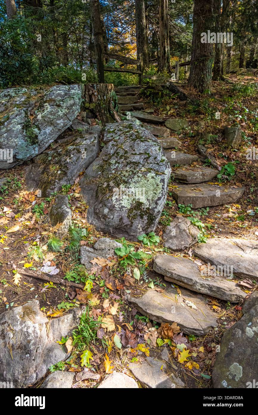 Gradini di pietra sul sentiero degli Appalachi a Neel Gap vicino agli incroci di montagna a Walasi-Yi nella foresta nazionale di Chattahoochee in Georgia vicino a Blairsville. Foto Stock
