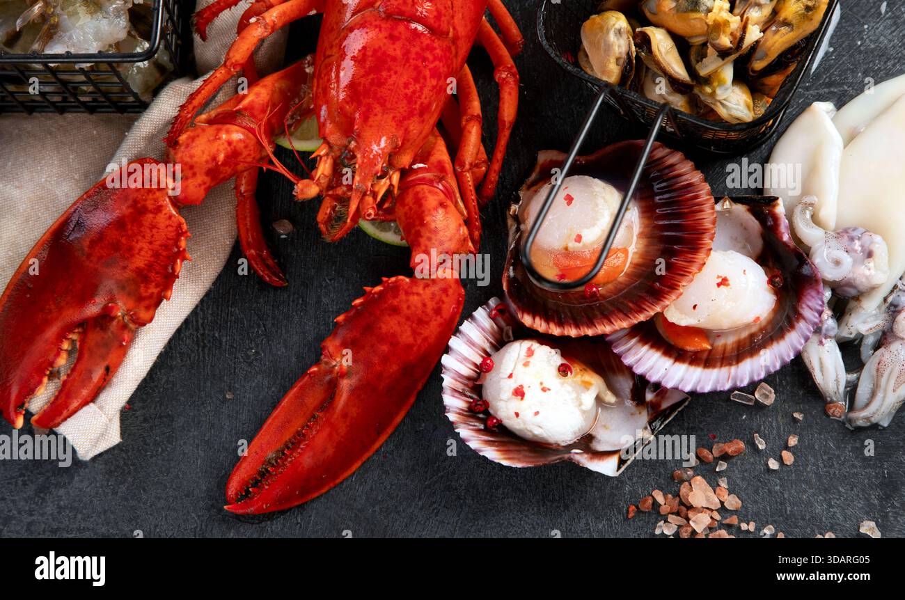 Varietà di pesce fresco ed erbe aromatiche. Pesce fresco e specialità di pesce. Vista dall'alto. Foto Stock