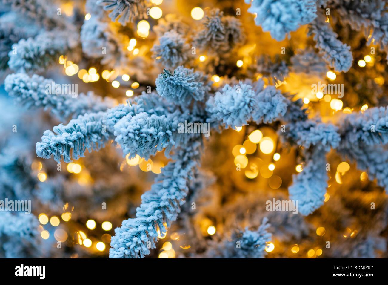 Primo piano di rami di pini innevati illuminati da calde luci natalizie dorate che creano un'atmosfera accogliente per le vacanze invernali con bokeh e gelo soffici Foto Stock