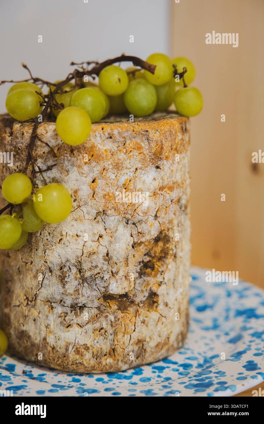 Ruota a forma di formaggio blu grande con uva verde Foto Stock