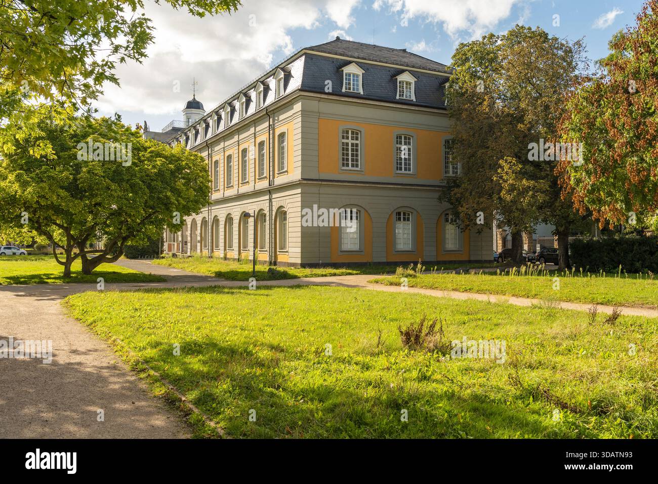 Vista di un elegante edificio universitario giallo con un tetto grigio circondato da vegetazione lussureggiante e un prato ben curato bagnato dalla luce del sole, Bonn, Nord Reno- Foto Stock