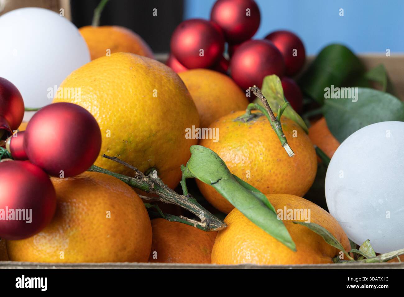 Mandarino ravvicinato con baule rosse e gambo a foglia, raccolto stretto che sottolinea i pori della pelle e i dettagli dello stelo, profondità di campo bassa con bordo morbido della cassa e. Foto Stock