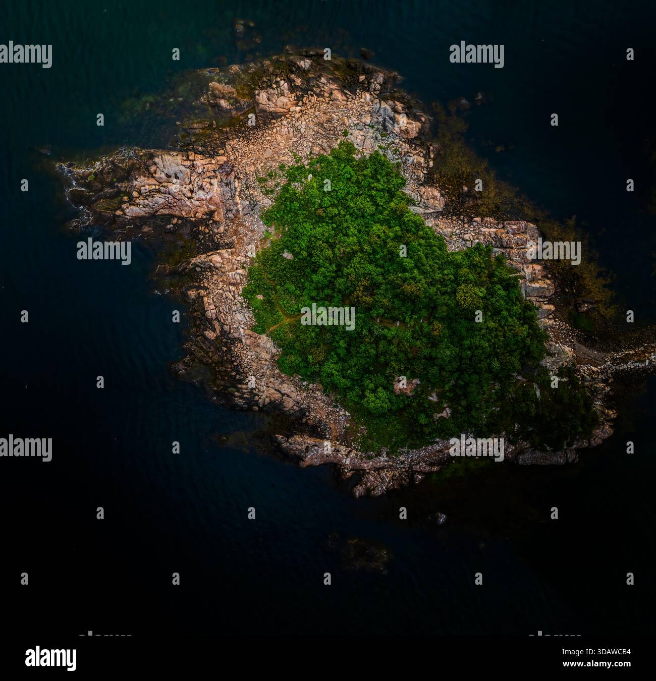 Veduta aerea di una piccola isola rocciosa coronata da alberi verdi vibranti circondata dal mare blu profondo, Gloucester, Massachusetts, Stati Uniti. Foto Stock