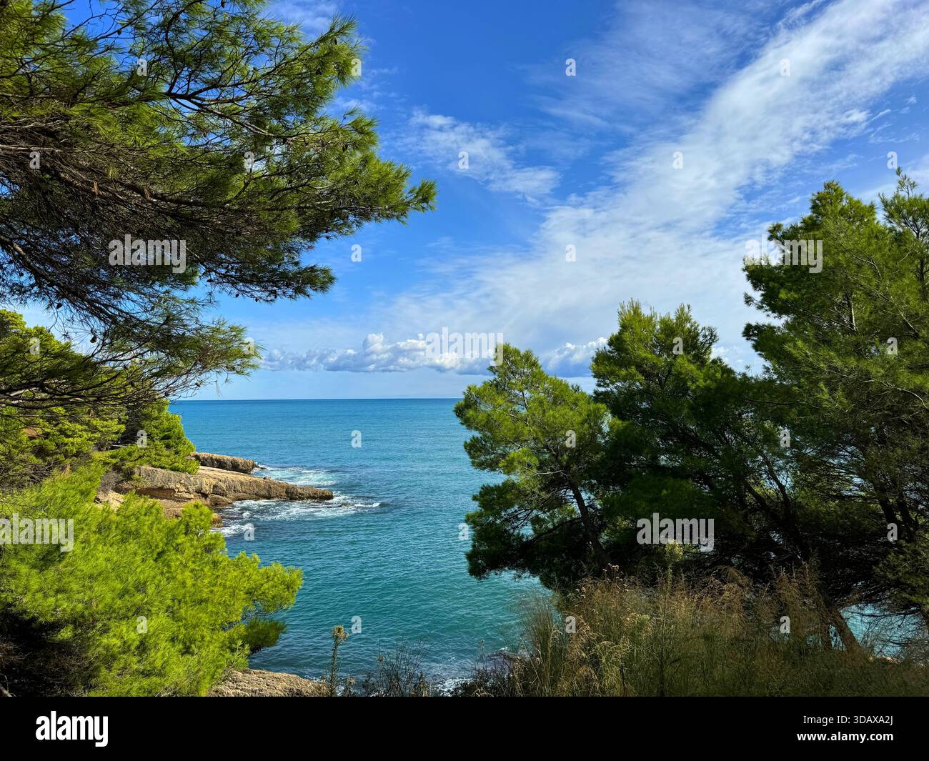 Mare blu, cielo meraviglioso e costa rocciosa ricoperta di pini Foto Stock