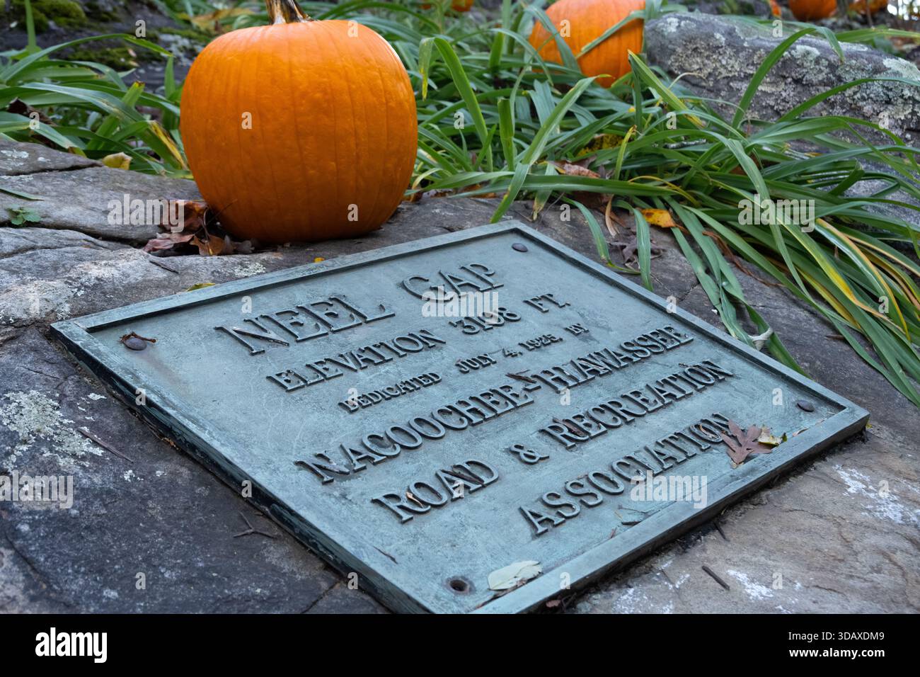 Zucche autunnali a Mountain Crossings lungo l'Appalachian Trail a Neel Gap a Blairsville, Georgia. (USA) Foto Stock