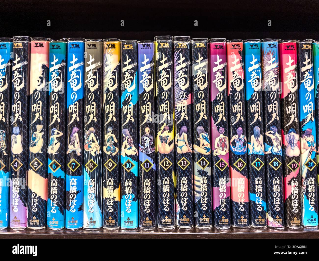 I volumi della serie manga "Mogura no Uta" (土竜の唄, "La Canzone della Talpa") di Noboru Takahashi, con le loro illustrazioni di copertina distintive, sono esposti in una libreria a Nachikatsuura (那智勝浦), prefettura di Wakayama, Giappone. Foto Stock