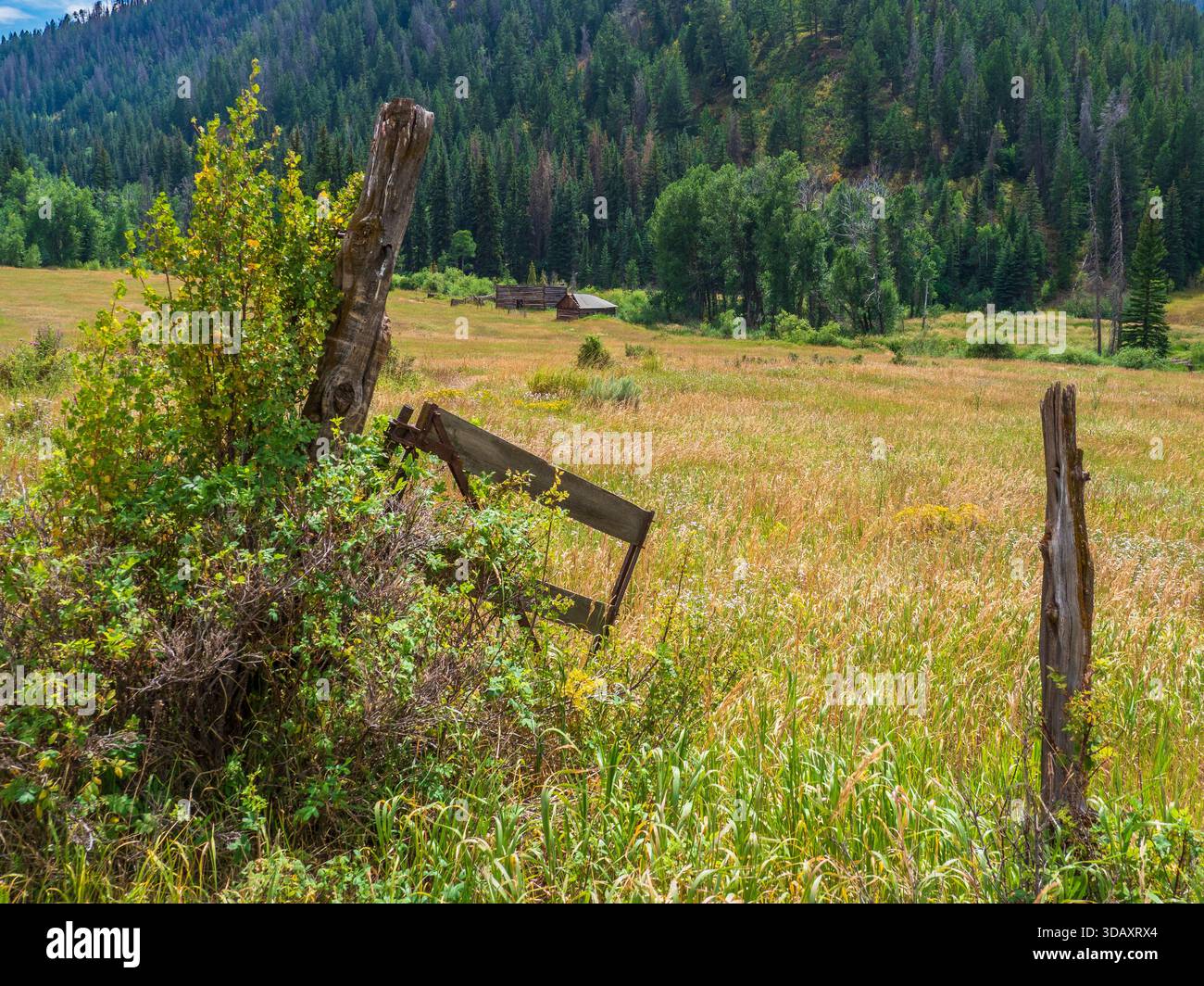 Upper dice Place, Sylvan Lake State Park, Eagle, Colorado. Foto Stock