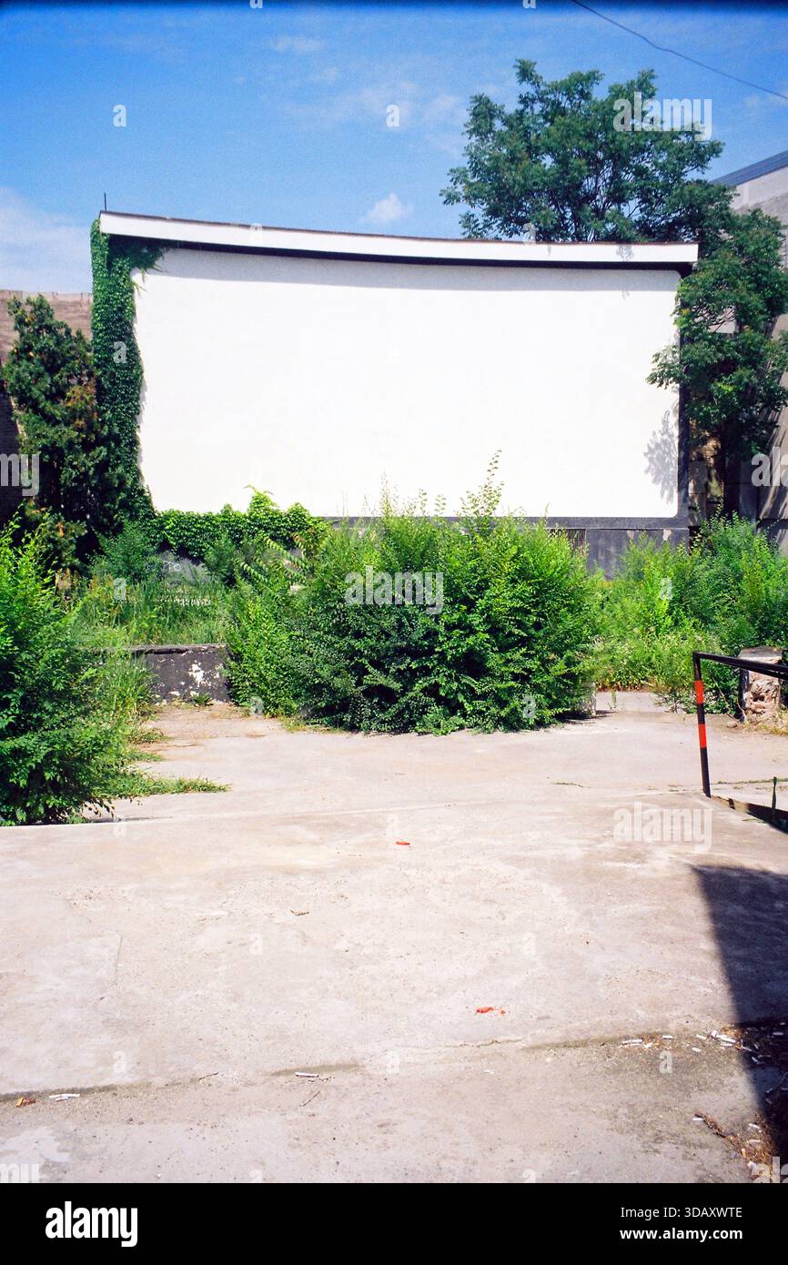 Il cinema all'aperto abbandonato è ricoperto di arbusti in piena luce del giorno, catturati su una pellicola analogica da 35 mm con un'atmosfera senza tempo. Foto Stock