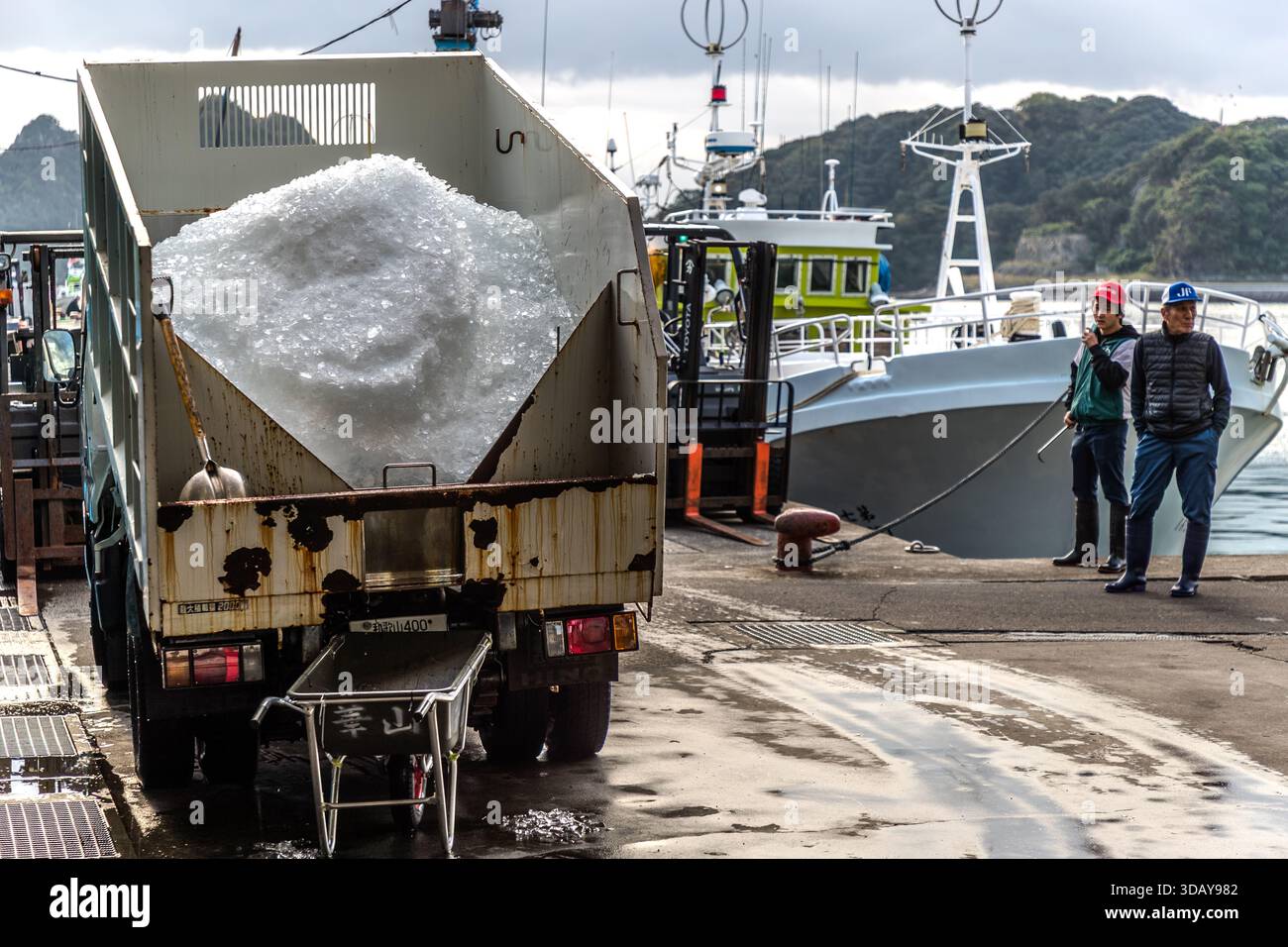 Gli uomini stanno sulla banchina di Nachikatsuura dietro un camion pieno di ghiaccio durante l'asta del tonno appena pescato. Prefettura di Wakayama, Giappone Foto Stock