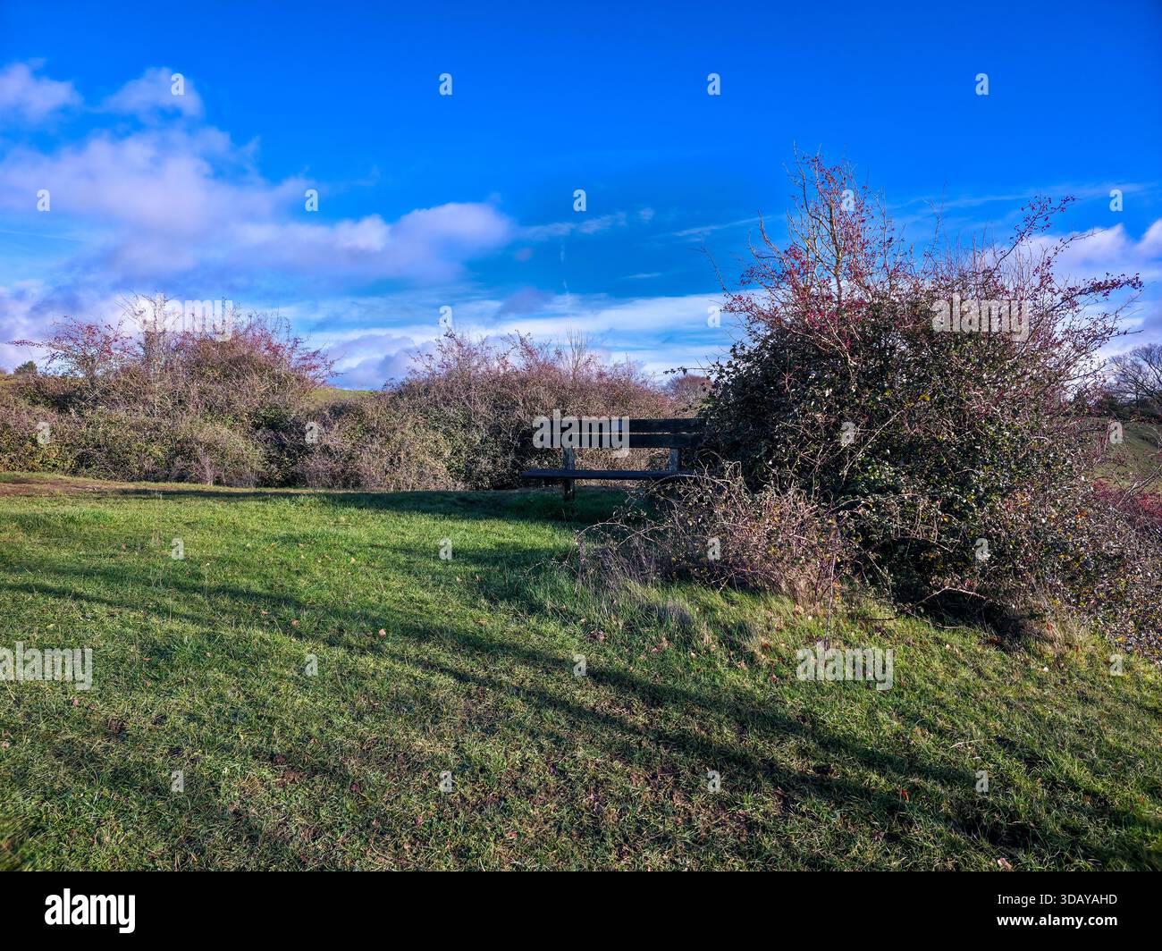 Tradizionale porta stile in legno nel lussureggiante campo verde nella campagna inglese Foto Stock