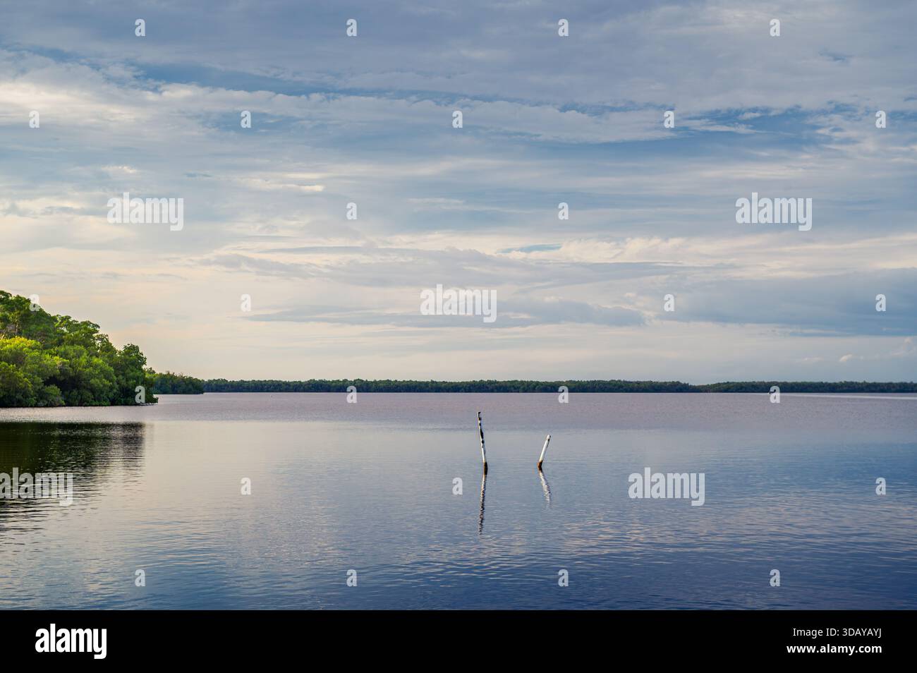 Scena tranquilla sulla baia di White Water con due pali che si riflettono sull'acqua, Everglades State Park, Florida Foto Stock