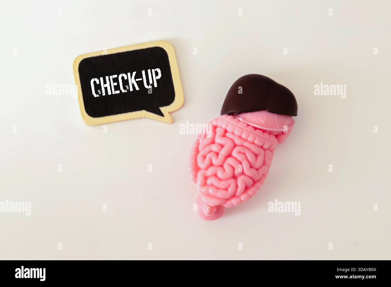 Salute dei polmoni, polmonologia, concetto di controllo medico. Controllo malattie polmonari, polmonite, asma, tubercolosi. Organo respiratorio Foto Stock