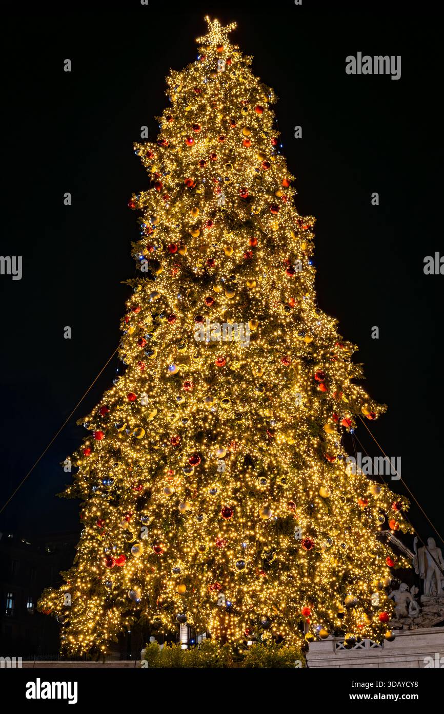 Roma, Italia - 8 dicembre 2025: Il maestoso albero di Natale in Piazza del popolo decorato con luci colorate man mano che si avvicinano le festività natalizie. Foto Stock