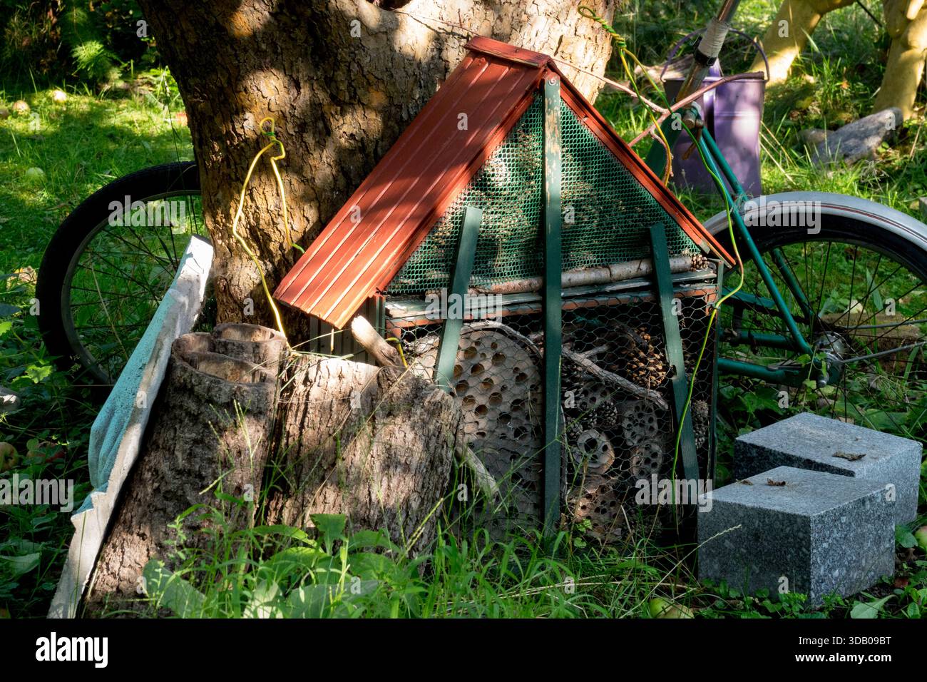 Hotel di insetti fatti in casa adagiato su un tronco di albero in un giardino Foto Stock