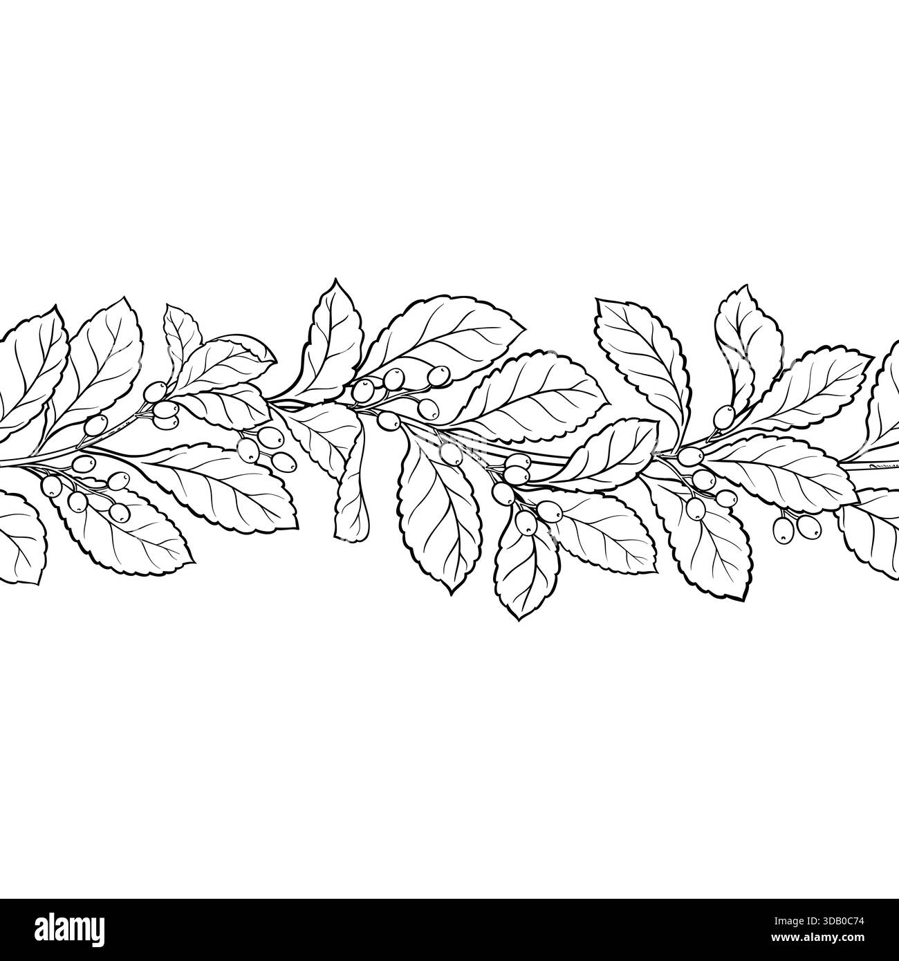 Schema orizzontale senza cuciture Yerba Outline. Illustrazione Vettoriale