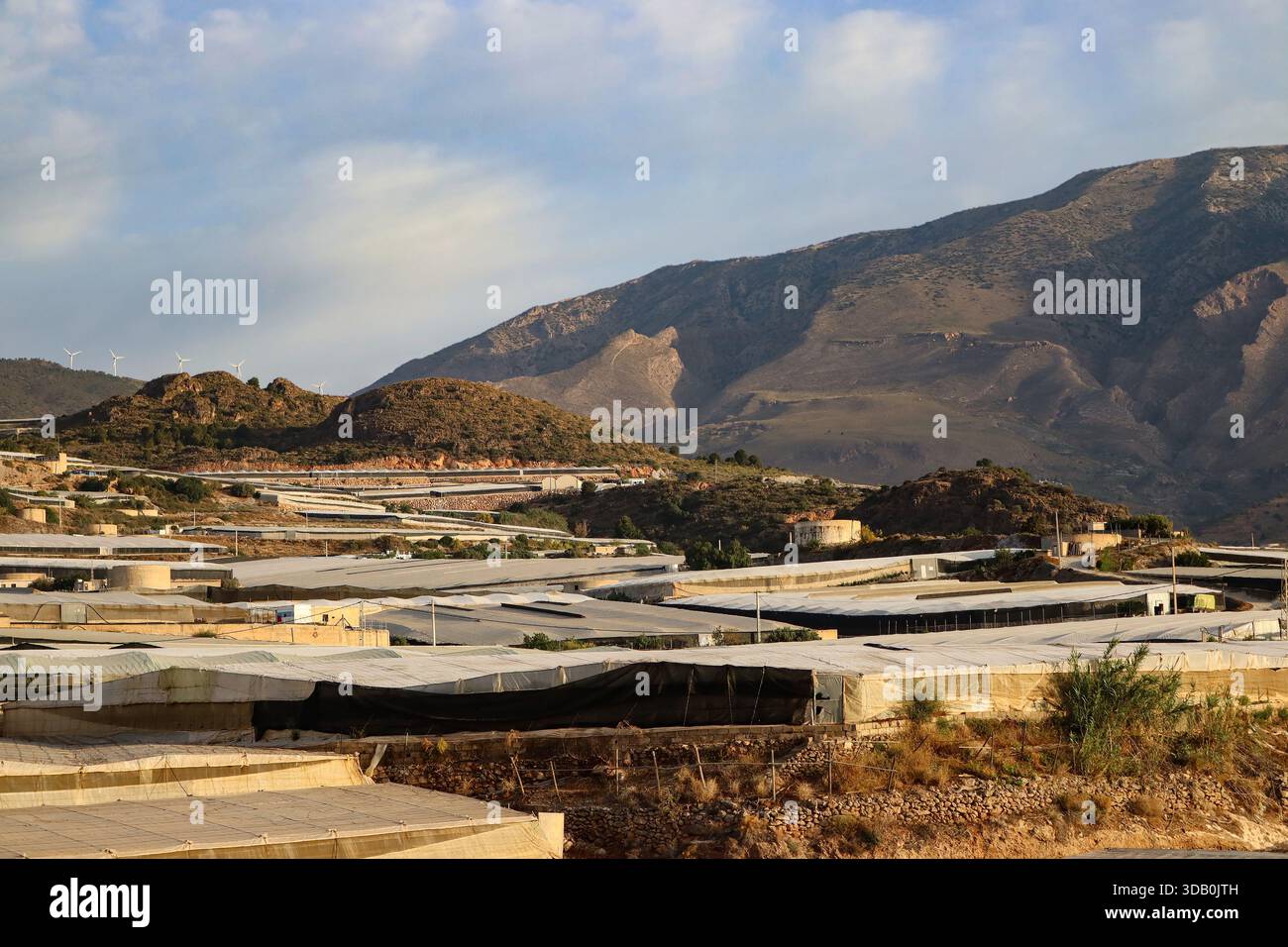 Il Mare della plastica intorno ad Almeria, serre nella più grande area coltivata al mondo sotto lastre di plastica (Andalusia, Spagna) Foto Stock