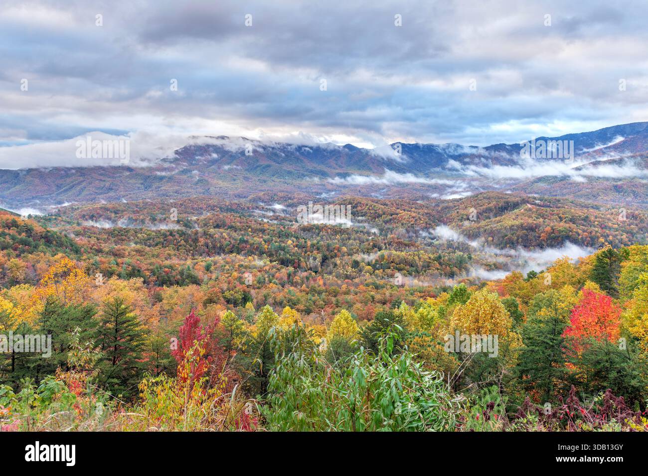 Durante l'autunno, gli alberi delle Great Smoky Mountains passano dal verde a colori multipli per poche settimane, abbagliando i viaggiatori con sfumature spettacolari, ro Foto Stock