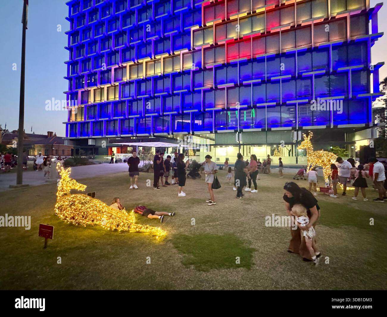 Canguro illuminato per le decorazioni natalizie di fronte alla Council House St Georges Terrace Perth Western Australia - Immagine stock catturata con smartphone