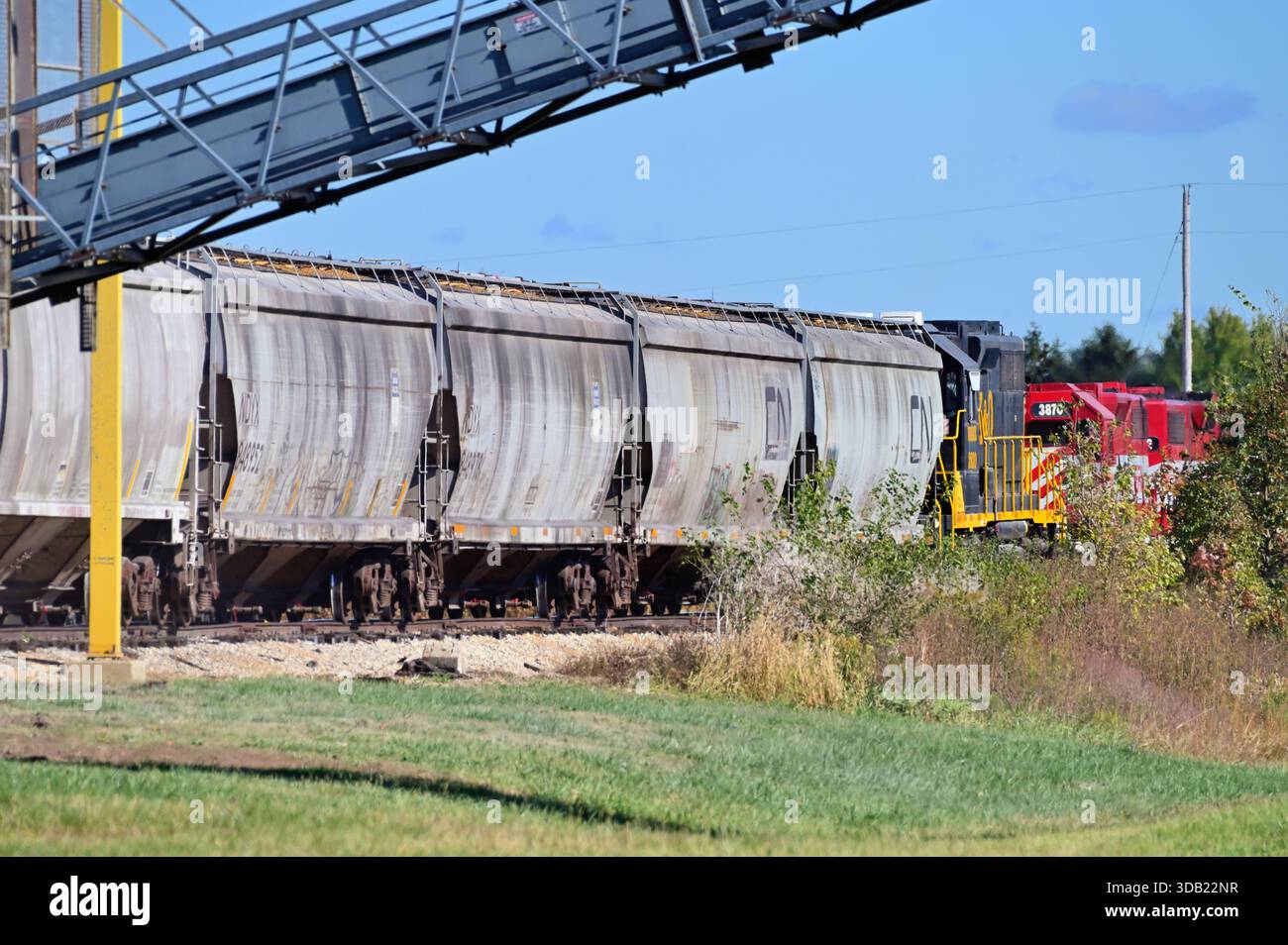 Oakland, Illinois, Stati Uniti. Le macchine tramogge aspettano in un grande impianto di grano nel Midwest degli Stati Uniti. Foto Stock