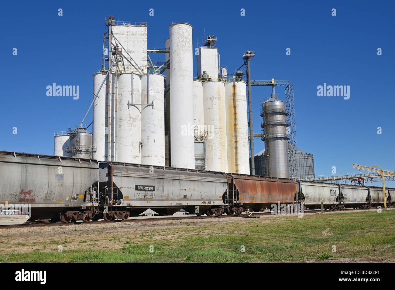 Oakland, Illinois, Stati Uniti. Le macchine tramogge aspettano in un grande impianto di grano nel Midwest degli Stati Uniti. Foto Stock