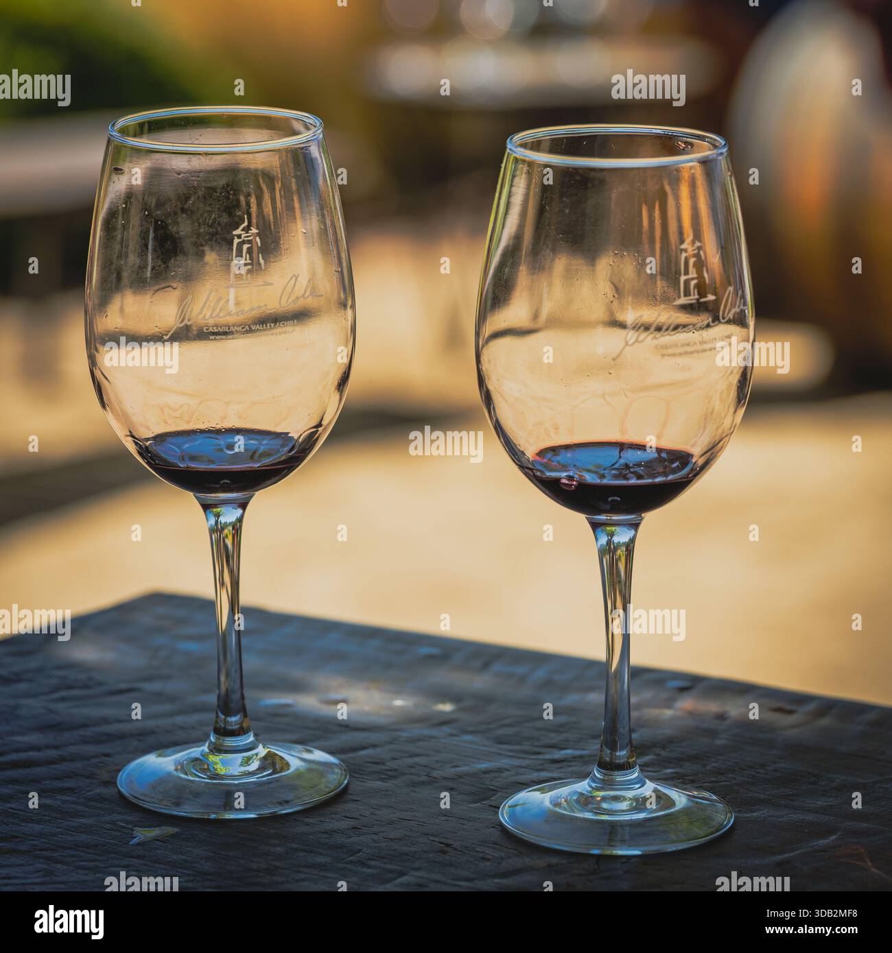 Valparaiso, Cile, 2 febbraio 2025. Due eleganti bicchieri da vino, contenenti vino rosso intenso, si trovano su una superficie di legno intemprata, con un paesaggio di vigneti sfocato Foto Stock