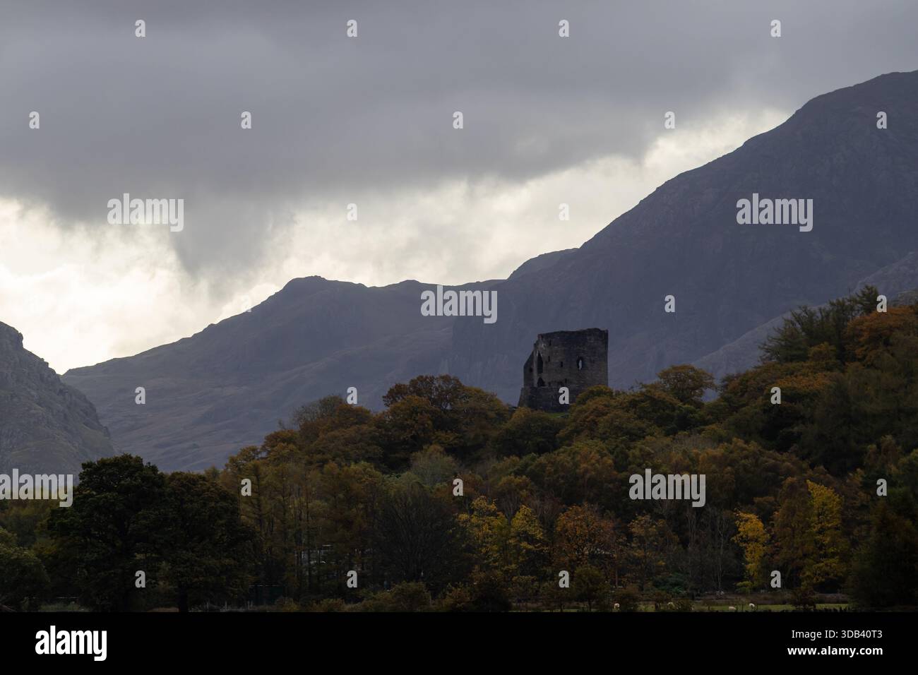 Castello Dolbadarn su una collina boscosa sotto nuvole scure con montagne che si innalzano alle spalle Foto Stock