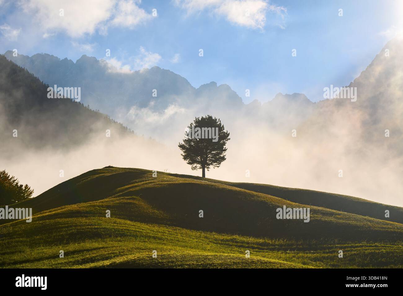 Albero solitario con montagne del Karwendel, Baviera Foto Stock