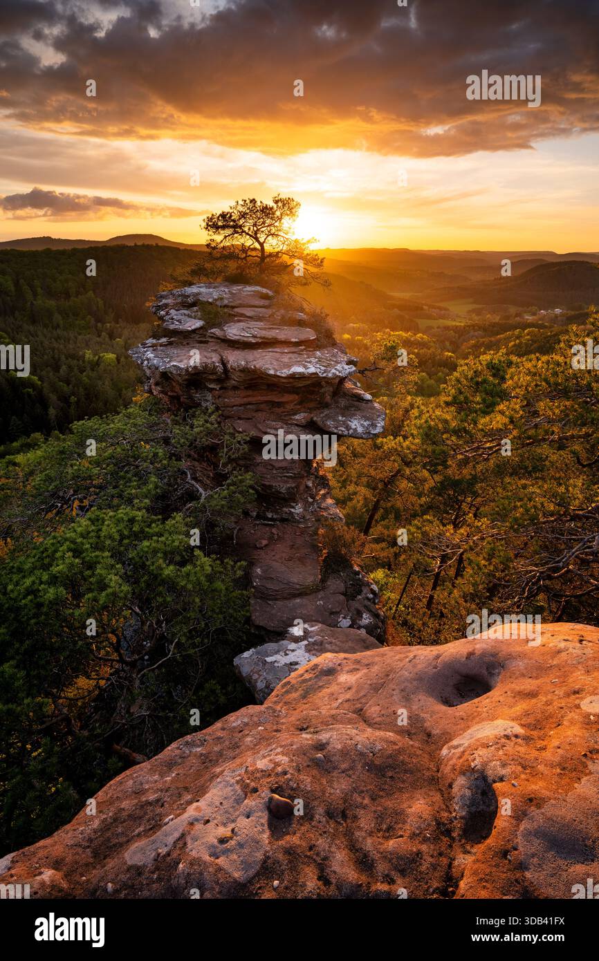 Foresta del Palatinato, Buchkammerfels nel bagliore della sera Foto Stock