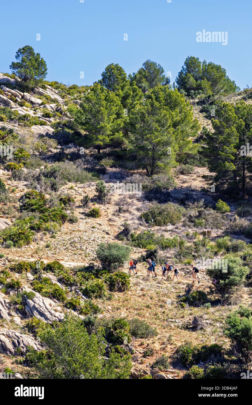 Escursionisti che camminano su un sentiero di montagna in una giornata estiva Foto Stock