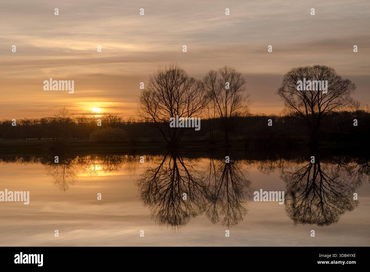 Ora d'oro su un lago calmo con alberi sagomati e Perfect Reflection Foto Stock