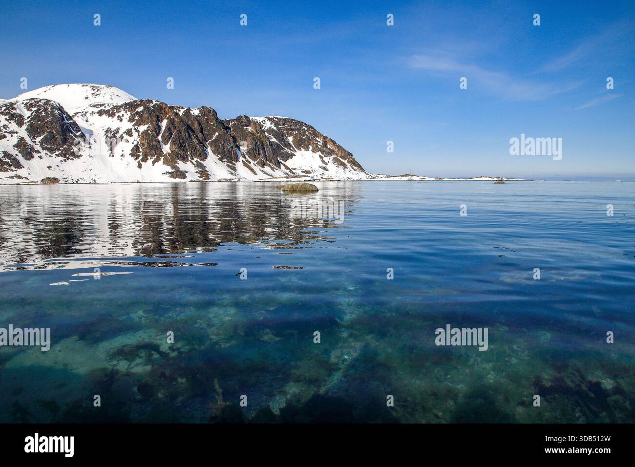Acque cristalline di Hamiltonbukta - il fondo marino visibile nelle acque cristalline di Hamiltonbukta. Raudfjord, Spitsbergen, Svalbard Foto Stock