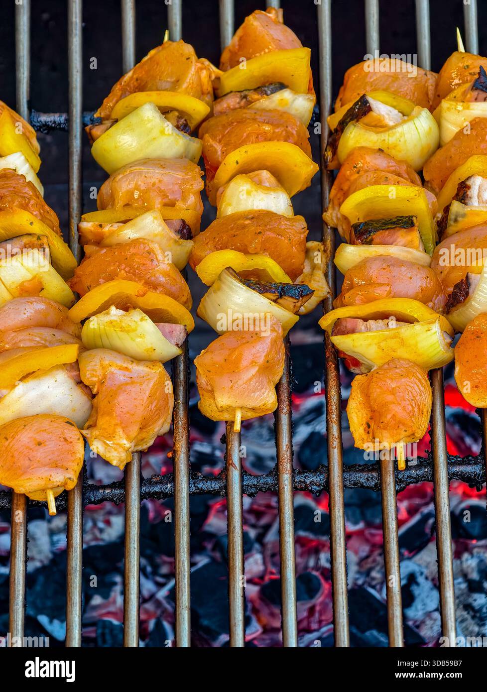 Kebabs di pollo e verdure grigliate al barbecue con piatti caldi caldi cucinati all'aperto in estate Foto Stock
