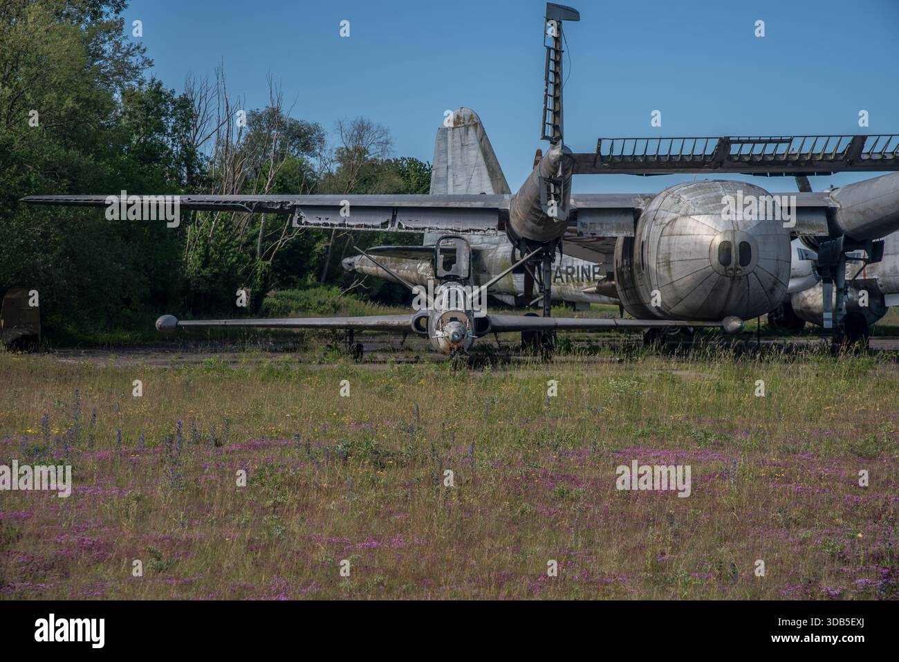 Trasporti militari abbandonati e Fouga CM170 Magister in un cimitero di aerei sovradimensionato Foto Stock