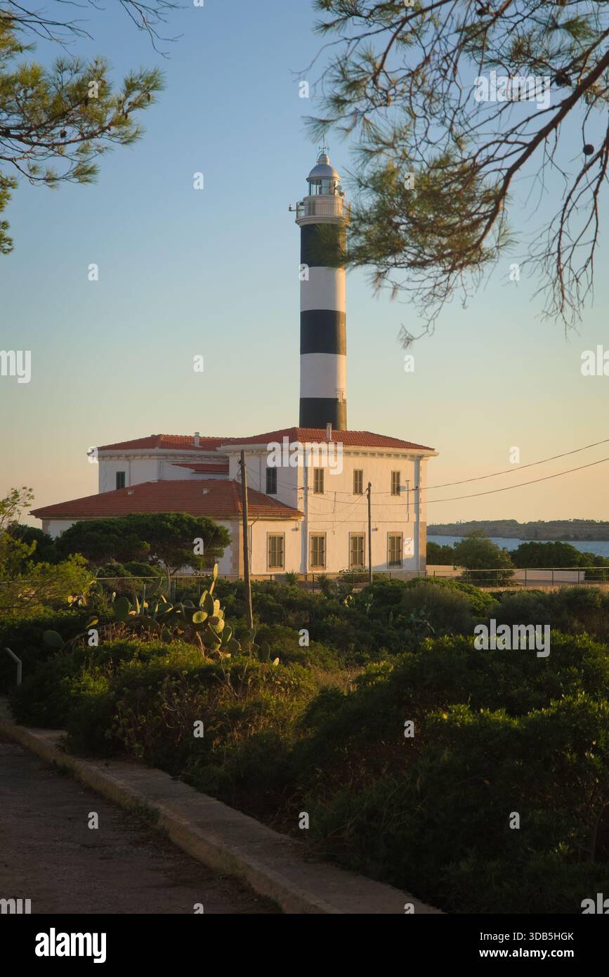 vista al tramonto del faro di portocolom con splendida vegetazione Foto Stock