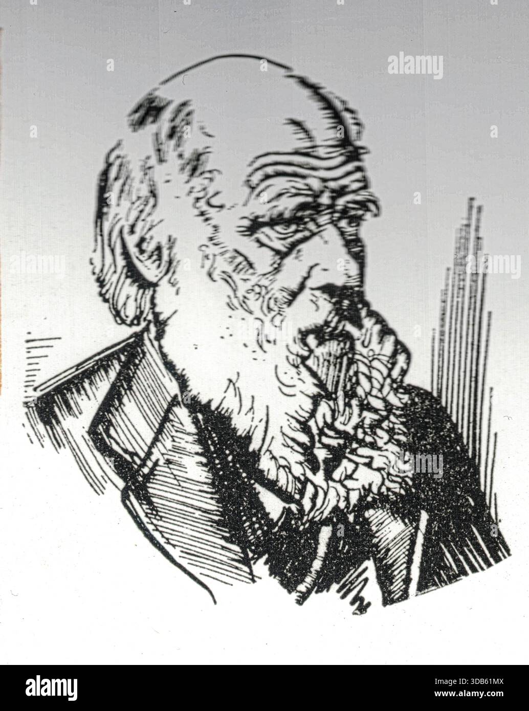 Charles Robert Darwin, 12 febbraio 1809-9 aprile 1882, è stato un naturalista, geologo e biologo inglese, ampiamente noto per i suoi contributi alla biologia evolutiva. La sua proposta secondo cui tutte le specie di vita discendono da un antenato comune è ora generalmente accettata e considerata un concetto scientifico fondamentale. In una presentazione congiunta con Alfred Russel Wallace, introdusse la sua teoria scientifica secondo cui questo schema di diramazione dell'evoluzione derivava da un processo che chiamava selezione naturale, in cui la lotta per l'esistenza ha un effetto simile alla selezione artificiale coinvolta Foto Stock