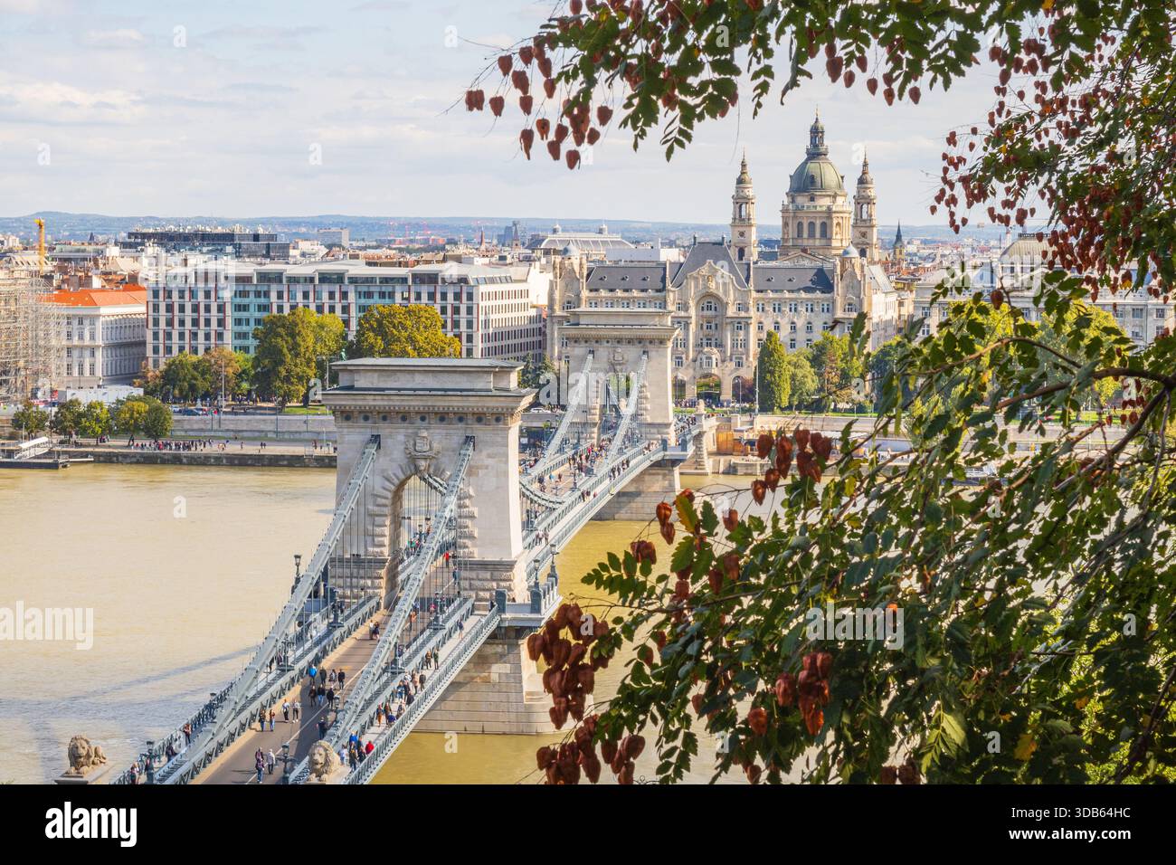 Visione aerea della città di Budapest incorniciata da alberi e ponte sul Danubio nella stagione autunnale, Ungheria Foto Stock