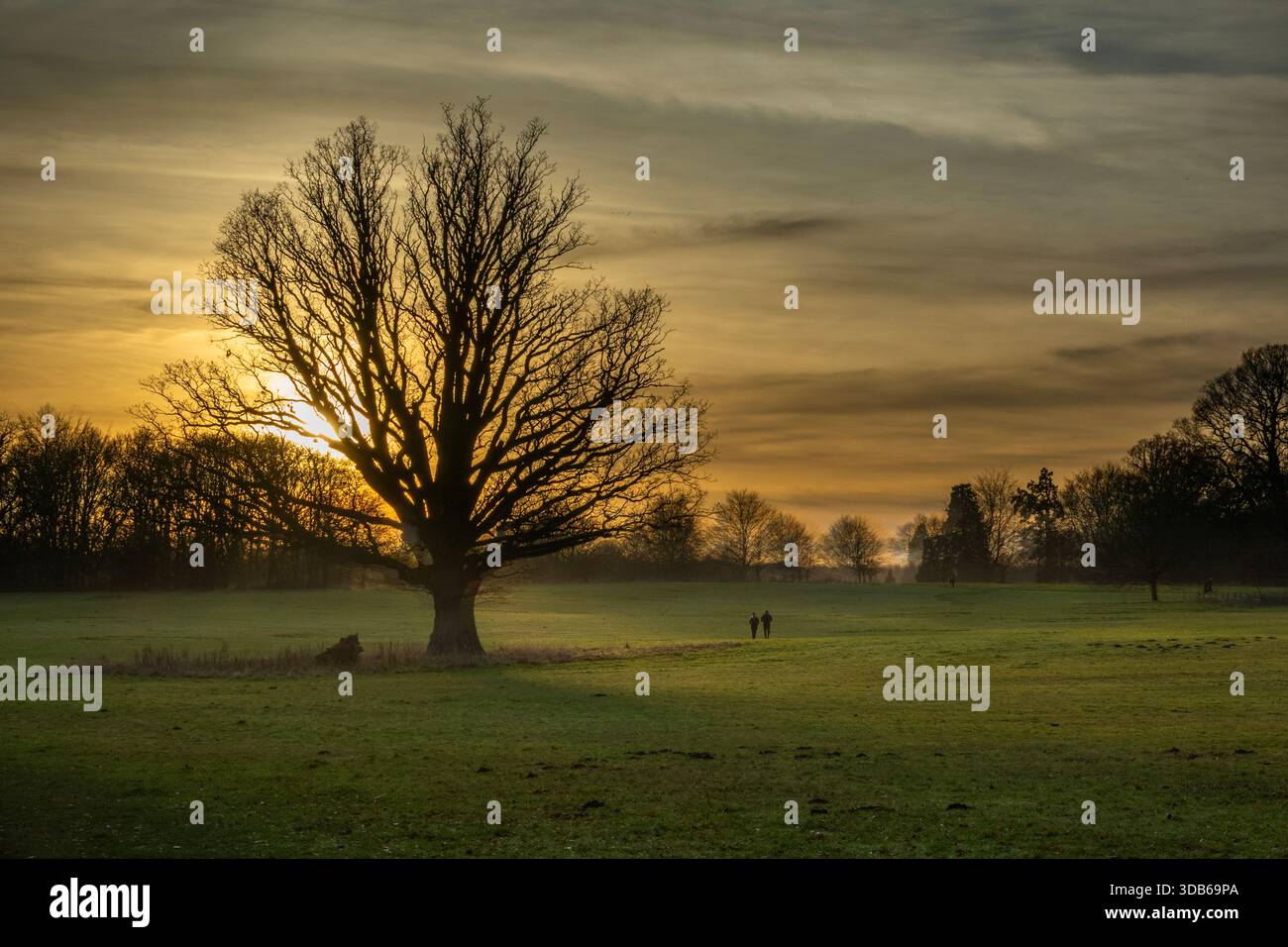 Parco Blickling Estate Foto Stock