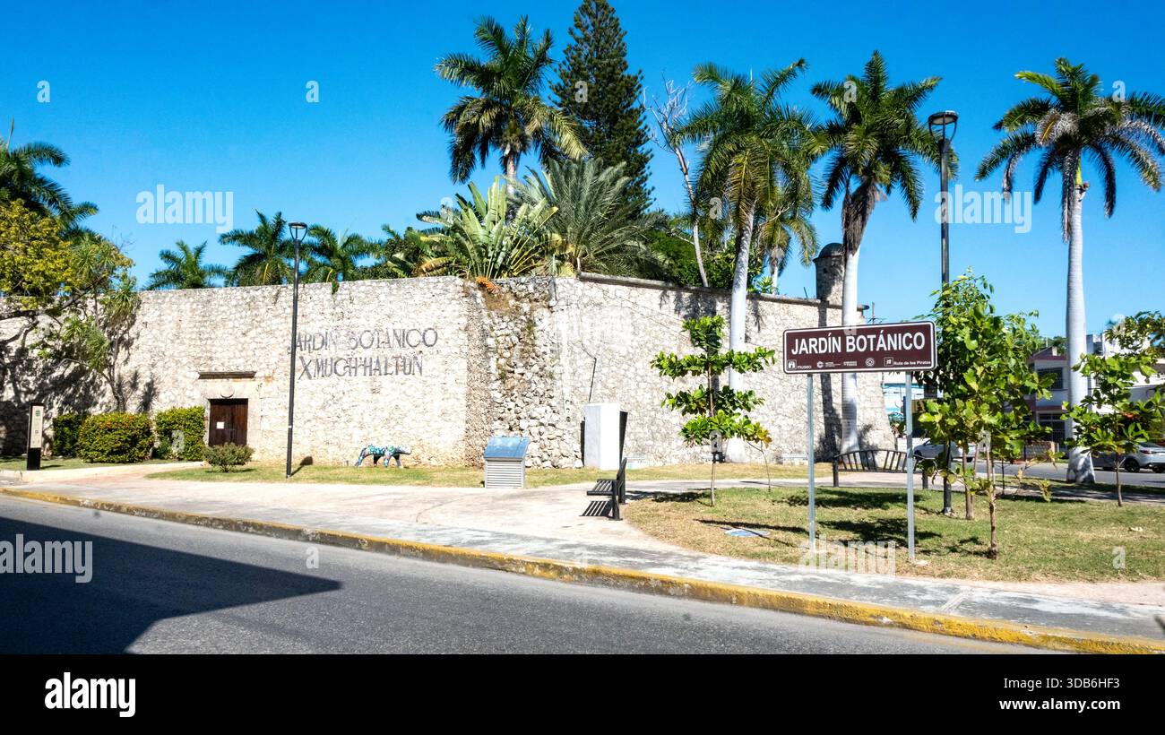Campeche, Messico, vista d'ingresso di Jardín Botánico Xmuch-Haltún con le storiche mura di pietra e le palme Foto Stock