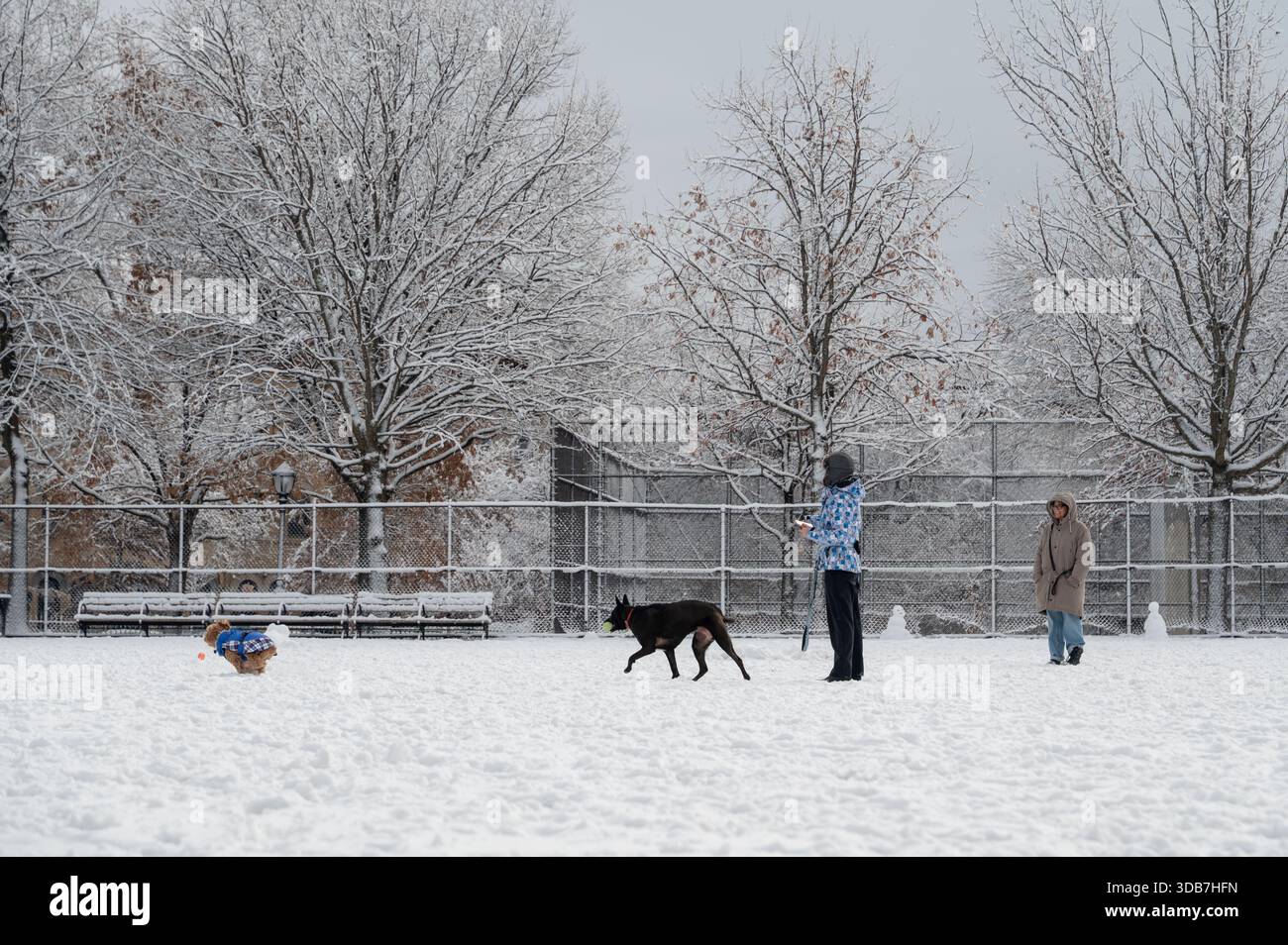 Brooklyn, New York, Stati Uniti. 14 dicembre 2025. New York City sta vivendo la sua prima grande nevicata della stagione. (Credit Image: © Liri Agami/ZUMA Press Wire) SOLO PER USO EDITORIALE! Non per USO commerciale! Crediti: ZUMA Press, Inc./Alamy Live News Foto Stock