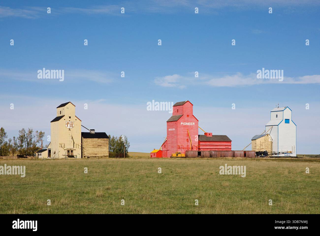 Tre vecchi ascensori in legno nella piccola città di Mossleigh, Alberta, Canada. Foto Stock