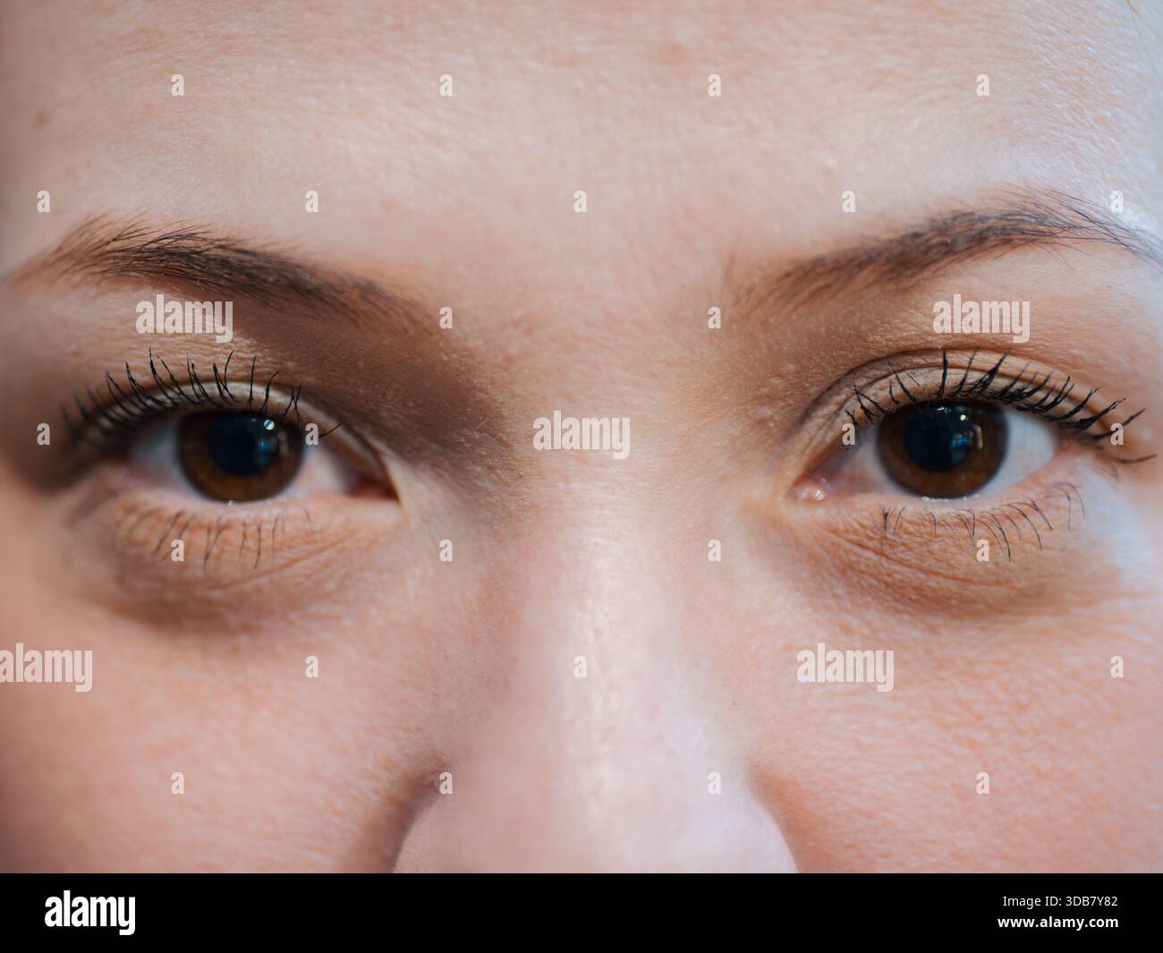 Ritratto da vicino che mostra gli occhi e le sopracciglia di una donna con dettagli nitidi. Concetto di bellezza, visione ed espressione umana. Foto Stock
