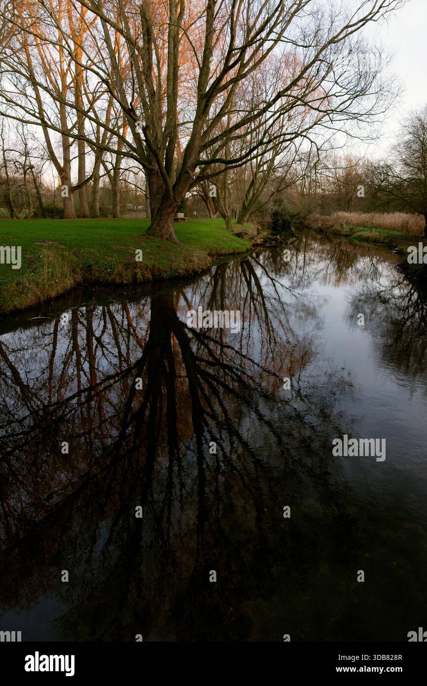Quando la luce inizia a svanire, il sole tramonta cattura le cime degli alberi sul fiume Wensum a Hempton, Fakenham, Norfolk, Regno Unito Foto Stock