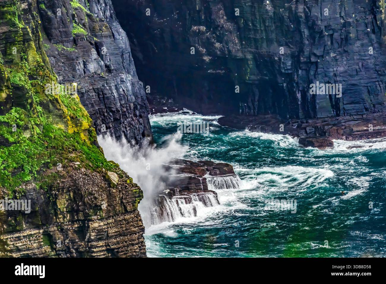 Colorful Cove Waves Seabirds scogliere di Moher Claire County Irlanda. Le scogliere si innalzano fino a 702 metri sopra l'Oceano Atlantico e corrono per 14 miglia lungo l'Irish c Foto Stock