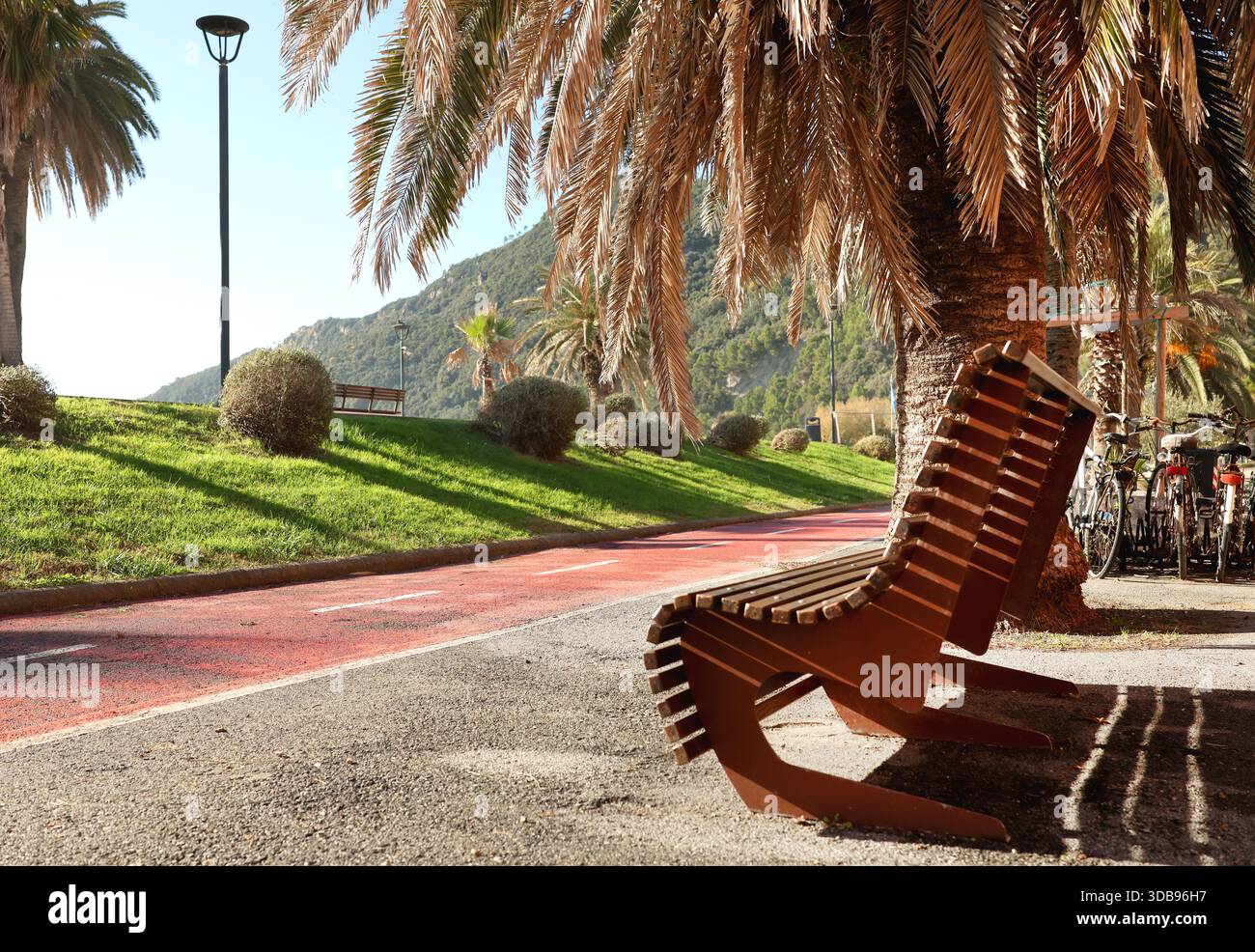 Palme e panchina nel parco sulla riva del mare vicino alle montagne in giornata di sole. Natura nella località turistica, Italia. Cielo blu, sfondo per il design. Foto Stock