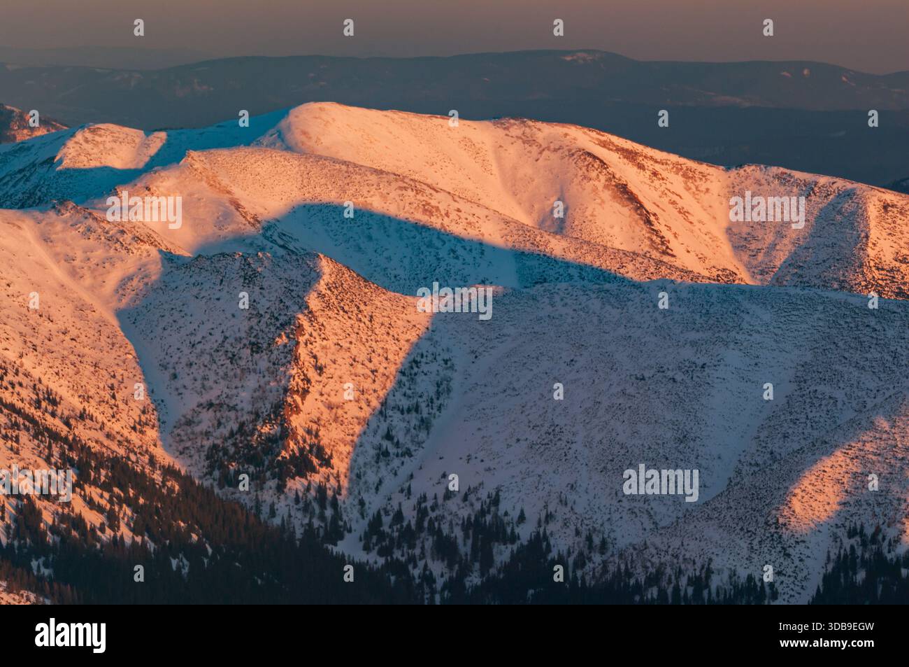 Vista aerea delle cime innevate baciate dalla luce dorata del sole che tramonta, proiettando lunghe ombre blu attraverso il paesaggio bianco scuro, Low Tatr Foto Stock